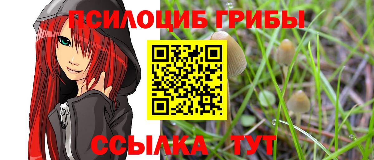 Псилоцибиновые грибы прущие грибы  Вход с VPN  Псилоцибиновые грибы Cubensis  Избербаш 